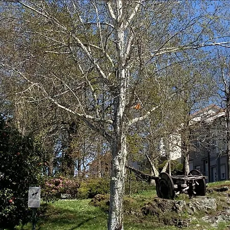 Apartament Campo De Estrellas *