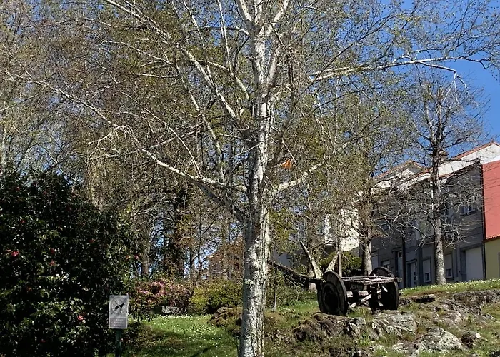 Daire Campo De Estrellas *